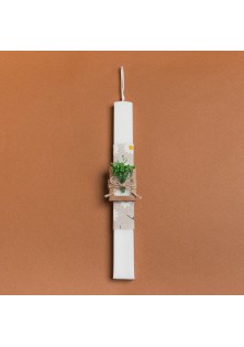 Beauty Home ΛΑΜΠΑΔΑ 33cm ΣΤΟΛΙΣΜΕΜΗ ΣΑΠΟΥΝΑΚΙ ΜΕ ΑΠΟΞΗΡΑΜΕΝΑ ΠΡΑΣΙΝΟ ΣΕ ΣΥΣΚΕΥΑΣΙΑ ΔΩΡΟΥ