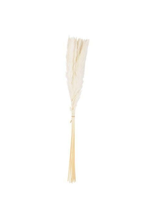 Beauty Home 15 ΚΛΑΔΙΑ ΦΤΕΡΑ ΛΕΥΚΑ 70 cm