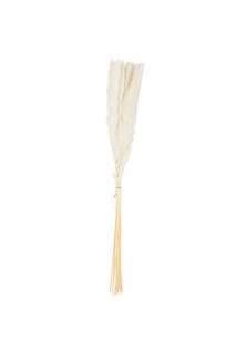 Beauty Home 15 ΚΛΑΔΙΑ ΦΤΕΡΑ ΛΕΥΚΑ 70 cm