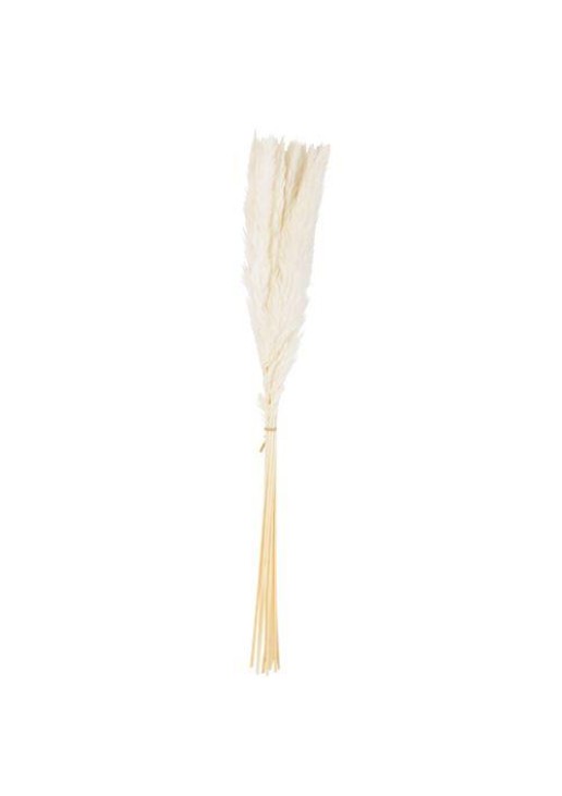Beauty Home 15 ΚΛΑΔΙΑ ΦΤΕΡΑ ΛΕΥΚΑ 70 cm
