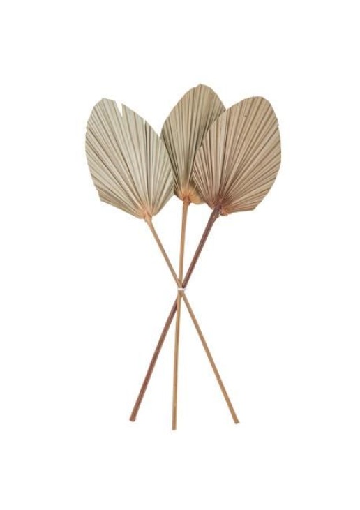 Beauty Home ΦΥΛΛΑ ΠΑΛΜΑ ΣΕΤ 3 ΤΜΧ 60 x 15 cm