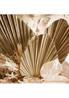 Beauty Home ΦΥΛΛΑ ΠΑΛΜΑ ΣΕΤ 3 ΤΜΧ 60 x 15 cm