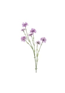 Beauty Home ΛΟΥΛΟΥΔΙ 68 CM