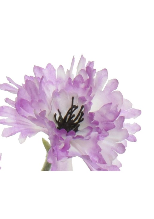 Beauty Home ΛΟΥΛΟΥΔΙ 68 CM