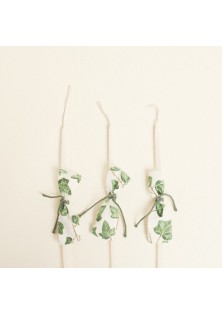 Beauty Home ΚΕΡΑΚΙΑ ΚΟΛΥΜΒΗΘΡΑΣ ΚΙΣΣΟΣ ΜΕ ΟΨΗ ΑΚΟΥΑΡΕΛΑΣ