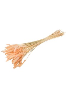Beauty Home ΓΑΤΑΚΙΑ LAGURUS ΡΟΖ 75CM 50ΤΜΧ