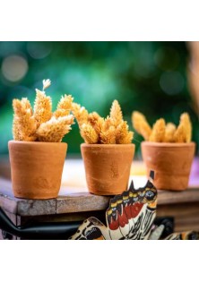 Beauty Home ΠΥΛΙΝΟ ΚΑΣΠΩ 5.5 X 5CM