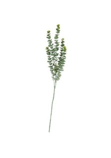 Beauty Home ΜΠΟΥΚΕΤΟ ΕΥΚΑΛΥΠΤΟΣ 83 CM