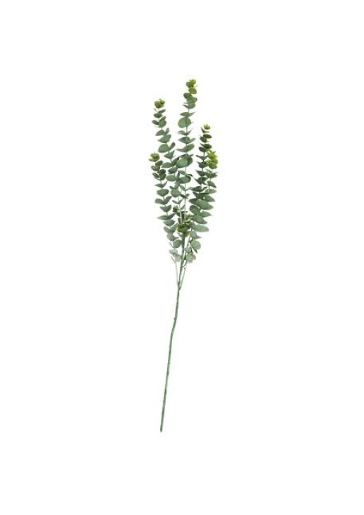 Beauty Home ΜΠΟΥΚΕΤΟ ΕΥΚΑΛΥΠΤΟΣ 83 CM