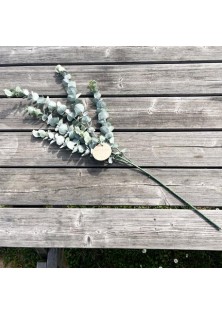 Beauty Home ΜΠΟΥΚΕΤΟ ΕΥΚΑΛΥΠΤΟΣ 83 CM