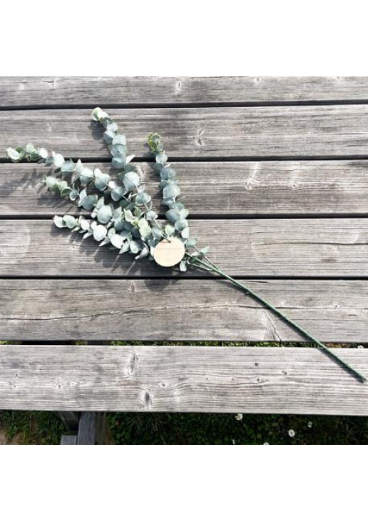 Beauty Home ΜΠΟΥΚΕΤΟ ΕΥΚΑΛΥΠΤΟΣ 83 CM