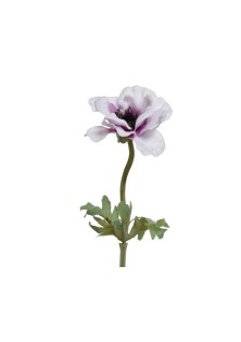 Beauty Home ΑΝΕΜΩΝΗ 57 CM