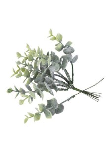 Beauty Home ΤΕΧΝHΤΑ ΚΛΑΔΑΚΙΑ ΕΥΚΑΛΥΠΤΟΥ 17 CM