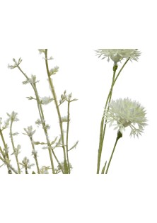 Beauty Home ΑΛΙΟΥΜ ΜΙΝΙ