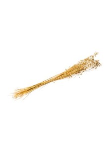 Beauty Home ΑΠΟΞΗΡΑΜΕΝΟ ΛΙΝΑΡΙ 50GR – 60CM