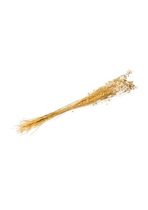 Beauty Home ΑΠΟΞΗΡΑΜΕΝΟ ΛΙΝΑΡΙ 50GR – 60CM