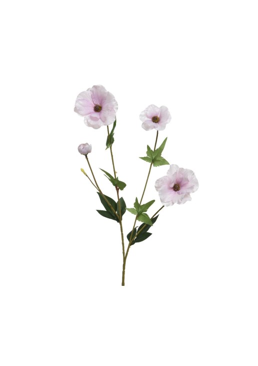 Beauty Home ΛΟΥΛΟΥΔΙ 67CM