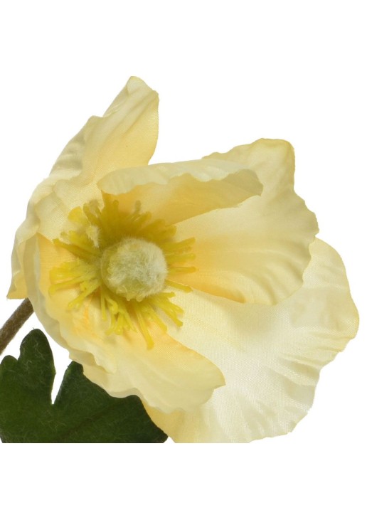 Beauty Home ΠΑΠΑΡΟΥΝΑ ΚΙΤΡΙΝΗ 71 CM