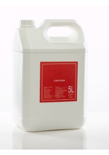 Conditioner για dispenser μάνγκο 5l PAVRO Conditioner σε dispenser: 5l MADI