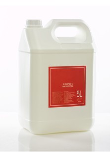 Σαμπουάν και αφρόλουτρο 2 σε 1 για dispenser μάνγκο 5l PAVRO Σαμπουάν και Αφρόλουτο 2 σε 1 για dispenser: 5l MADI