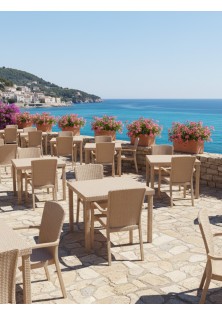 Καρέκλα Rattan SIERRA BEIGE Καρέκλα: 57 x 57 x 88 εκ. MADI