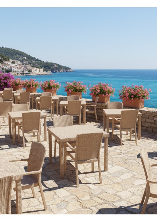 Καρέκλα Rattan SIERRA BEIGE Καρέκλα: 57 x 57 x 88 εκ. MADI